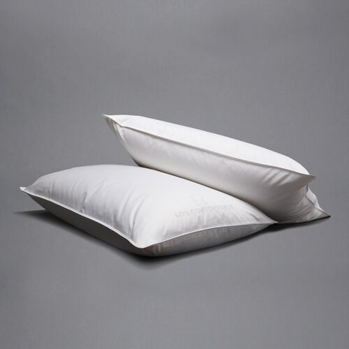 Live Comfortably® Trilogy 500 Thread Count Twin Pack Standard/Queen Pillows