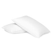 Live Comfortably® Fiberfill Pillow Stomach and Back Sleeper Standard/Queen