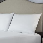 Protect-A-Bed® AllerZip Smooth Pillow Protectors - 2 Pack