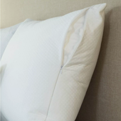 Protect-A-Bed® Cloud Pillow Protector, Standard