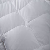 Live Comfortably® 233 Thread Count Cotton 550 Fill Power White Duck Down Comforter, Twin