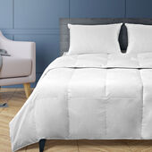 Live Comfortably® Rustic Hamptons Notre Dame Down Alternative Comforter King