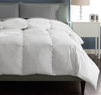 Great Sleep Comforters - Shop Now
