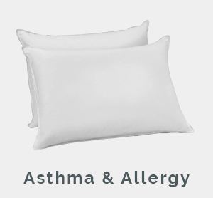 Asthma and Allergy Friendly Certified Category - Shop Now